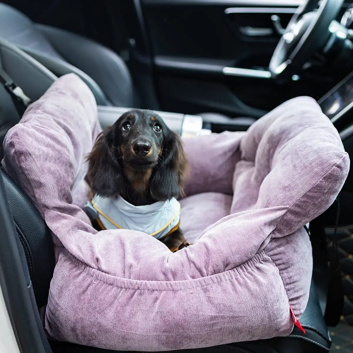 2-in-1 Dog Car Seat Carrier Bag - Detachable with Handles and Safety Belt, Travel Dog Booster Seat