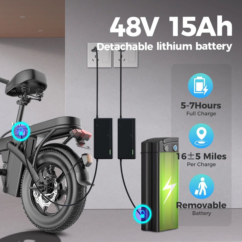 Folding Electric Bike
