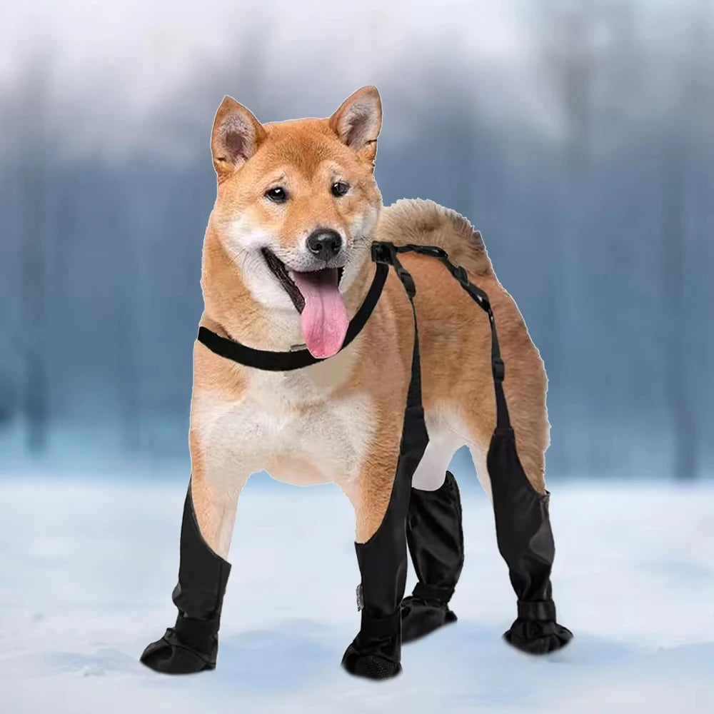 Anti-Slip Dog Shoes Pet Paw Protector Rain Booties, Outdoor Suspender Sock Shoes for Small Medium Large