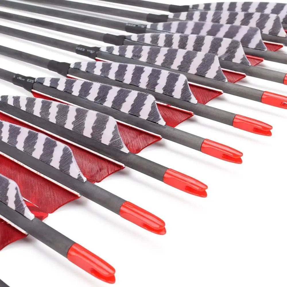 Carbon 600-700 Spine 30 Turkey Feather Fletched Arrows with Screw-In Points for Traditional, Recurve, and Compound Bows Hunting