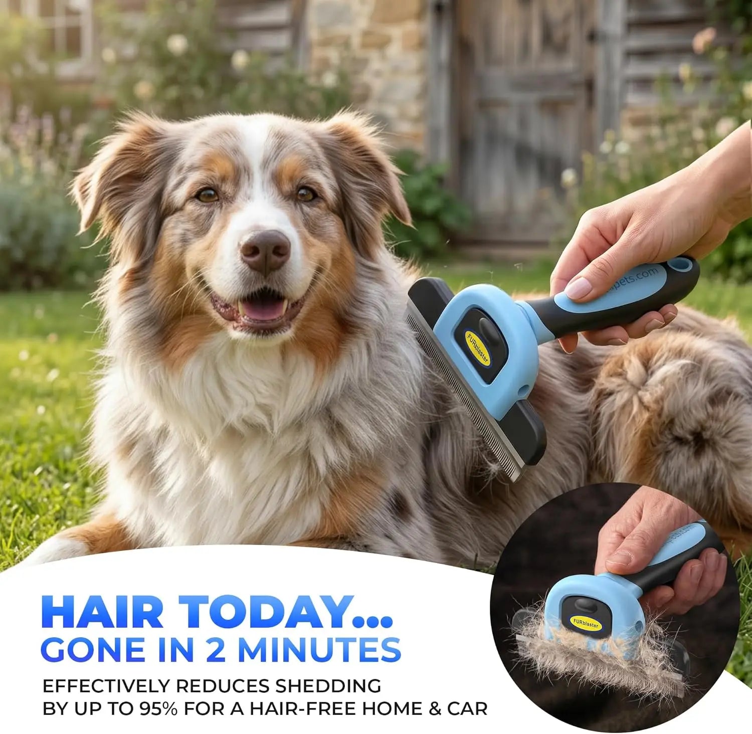 Dog Brush for Shedding – Stainless Steel Deshedding Brush for Dogs & Cats, Removes Loose Undercoat Hair, Reduces Shedding