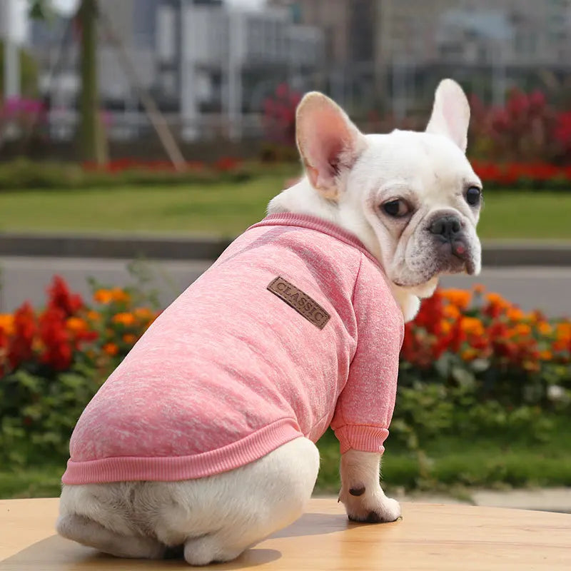 Manufacturer Customizes French Bulldog, Pug, Dog, Cat, Pet Clothes, Two-Legged Clothing Supplies, Yarn