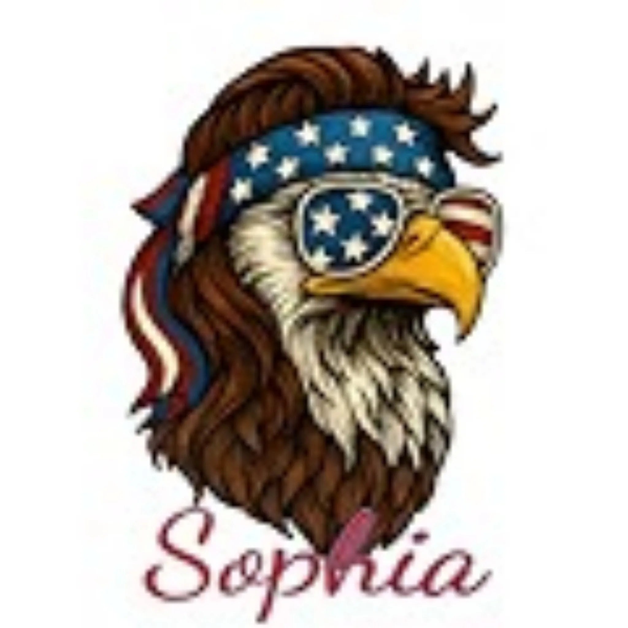 USA American Flag 4th of July Outfit for Men Women Kids,   Eagle Cat Raccoon Funny