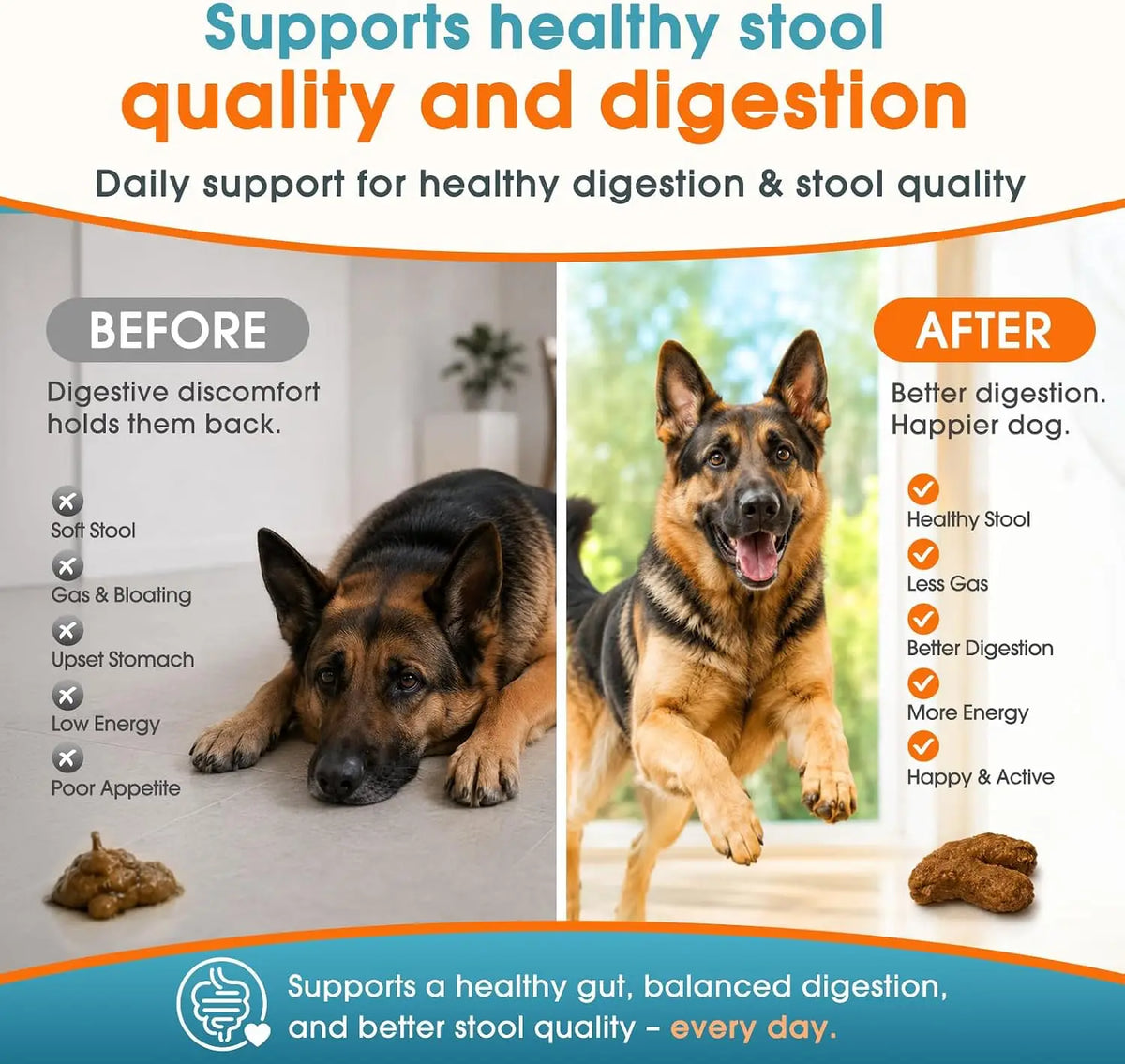 120 Soft Chews Probiotics for Dogs Digestion & Stool Support – Bacillus Coagulans + FOS Prebiotics + Digestive Enzymes Formula