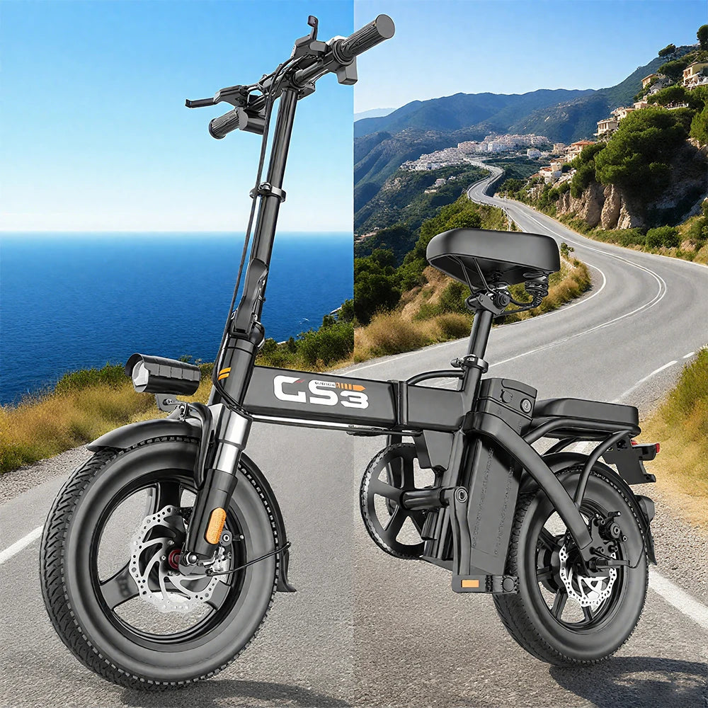 Folding Electric Bike