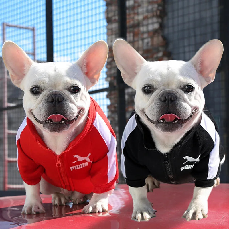 Manufacturer Customizes Pet Clothes for Warm Sweatshirts with Letters for Dogs and Cats, Small, Medium and Large Dog Supplies