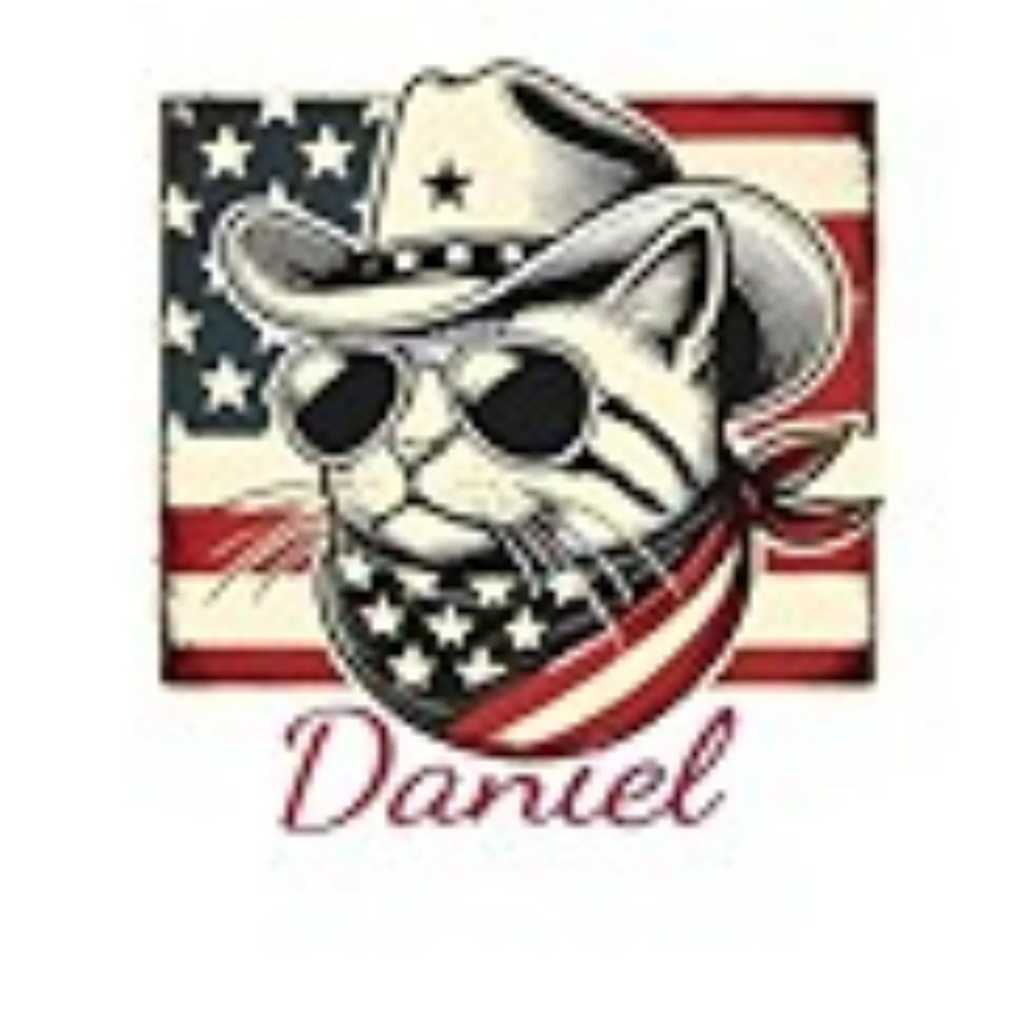 USA American Flag 4th of July Outfit for Men Women Kids,   Eagle Cat Raccoon Funny