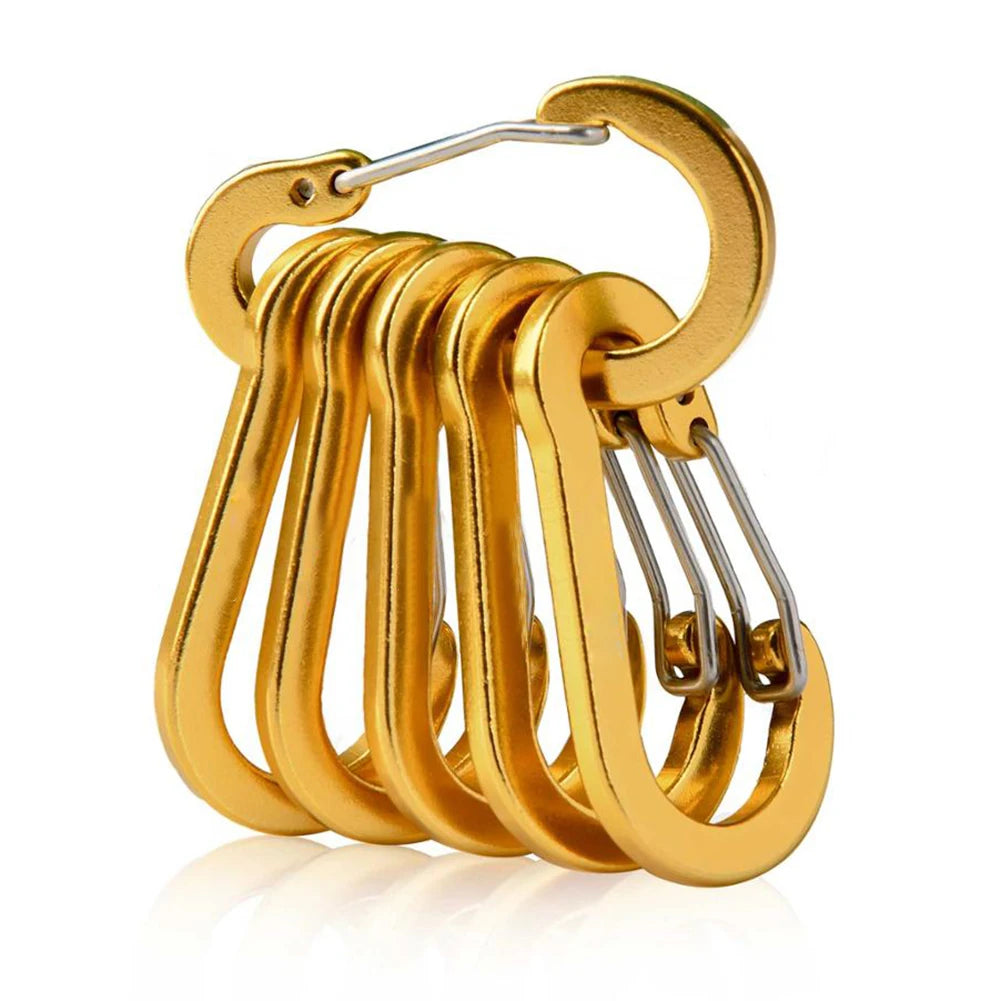 6Pcs Mini Carabiner Buckle Hook D Shape Carabiner Spring Snap Clip Multifunctional