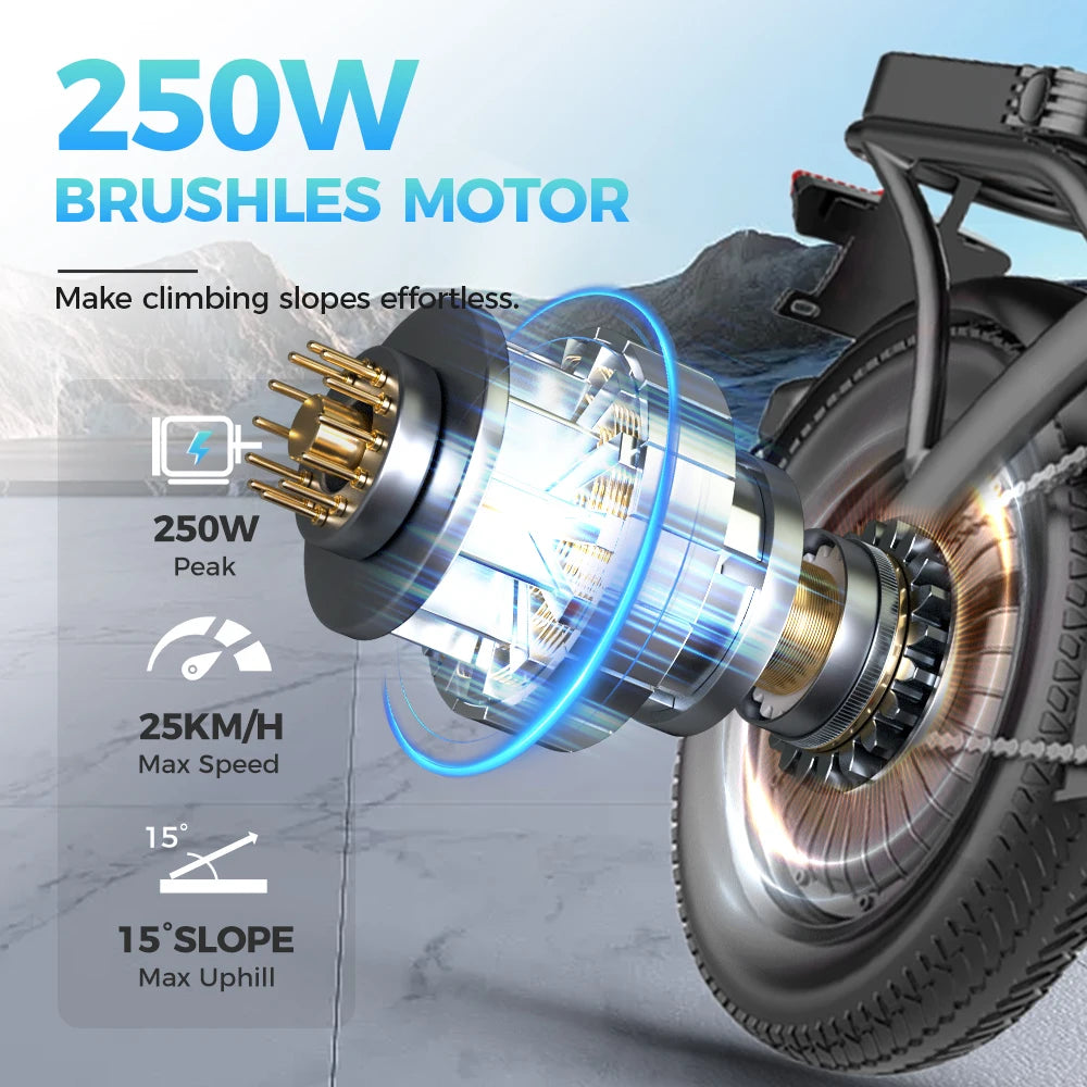 Folding Electric Bike