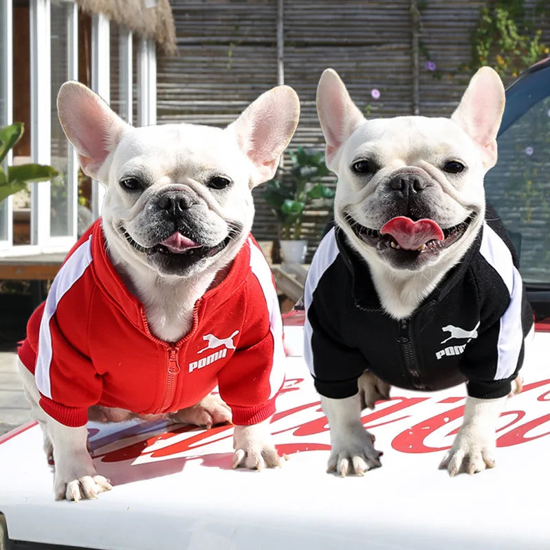 Manufacturer Customizes Pet Clothes for Warm Sweatshirts with Letters for Dogs and Cats, Small, Medium and Large Dog Supplies