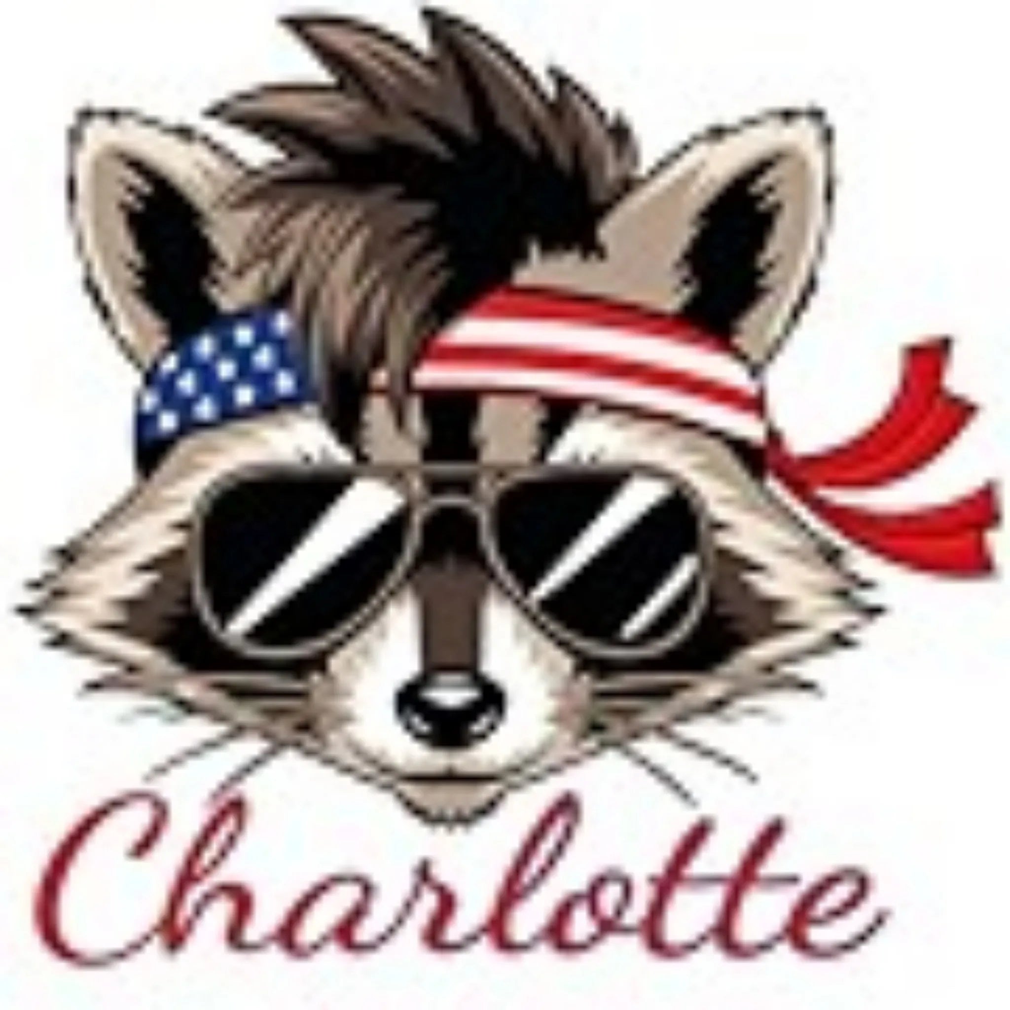 USA American Flag 4th of July Outfit for Men Women Kids,   Eagle Cat Raccoon Funny