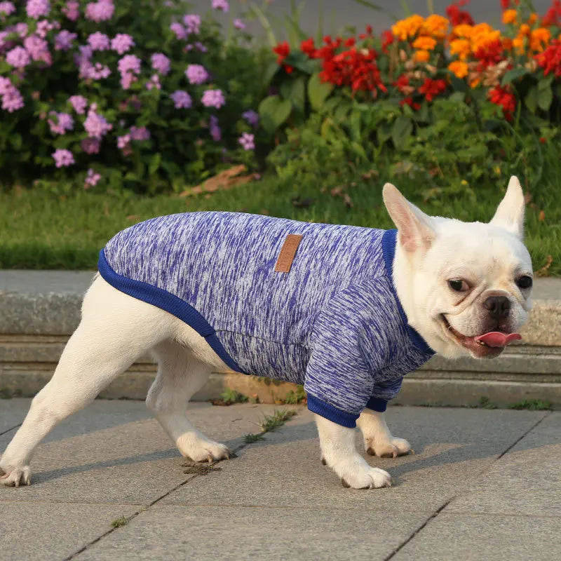 Manufacturer Customizes French Bulldog, Pug, Dog, Cat, Pet Clothes, Two-Legged Clothing Supplies, Yarn