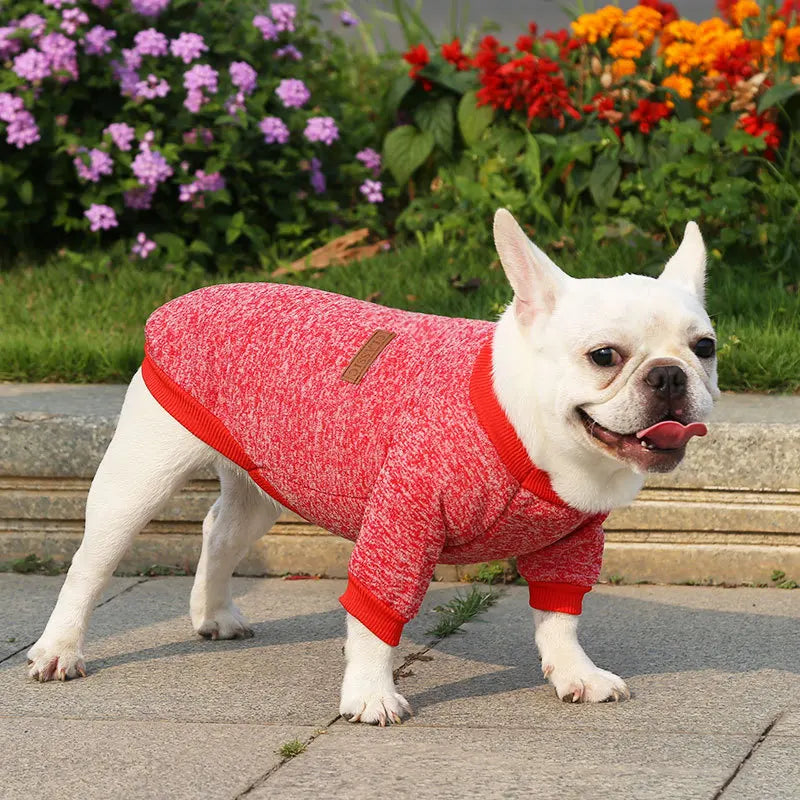 Manufacturer Customizes French Bulldog, Pug, Dog, Cat, Pet Clothes, Two-Legged Clothing Supplies, Yarn