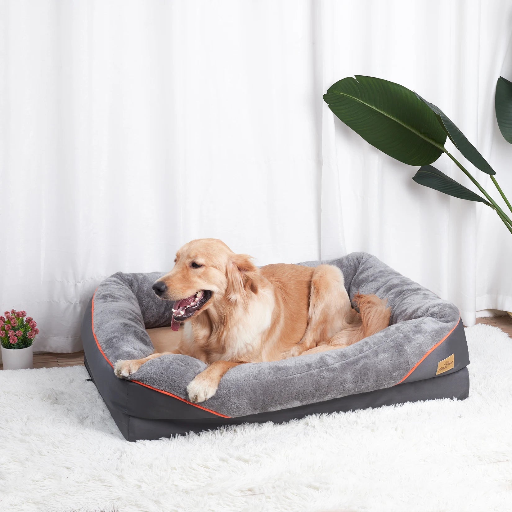 Large Dog Bed Soft Anti Allergy Warm Fleece Removable Washable Cover Pet Bed Waterproof