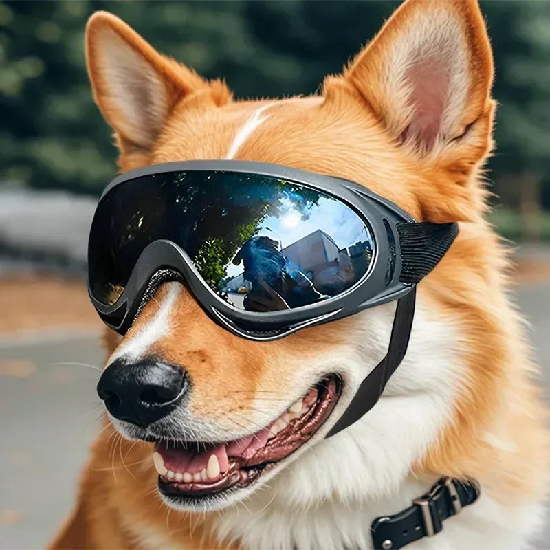 Pet Goggles Adjustable Anti UV Glare Windproof Sunglasses All Breeds Eye