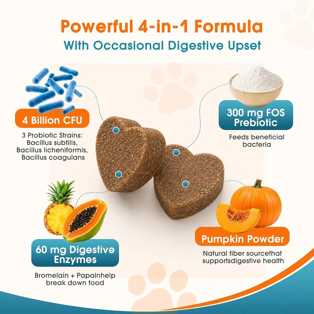120 Soft Chews Probiotics for Dogs Digestion & Stool Support – Bacillus Coagulans + FOS Prebiotics + Digestive Enzymes Formula