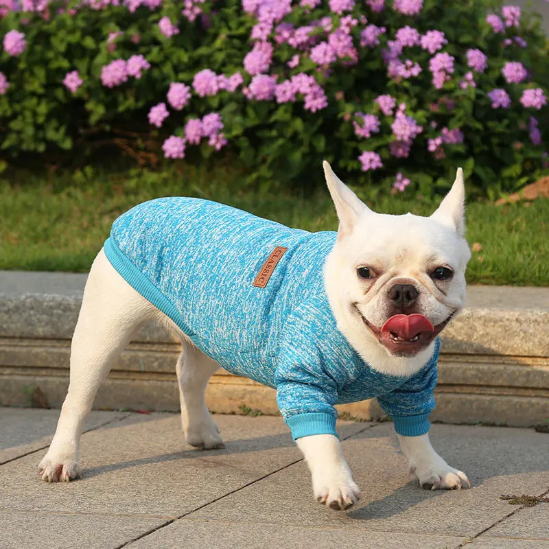 Manufacturer Customizes French Bulldog, Pug, Dog, Cat, Pet Clothes, Two-Legged Clothing Supplies, Yarn
