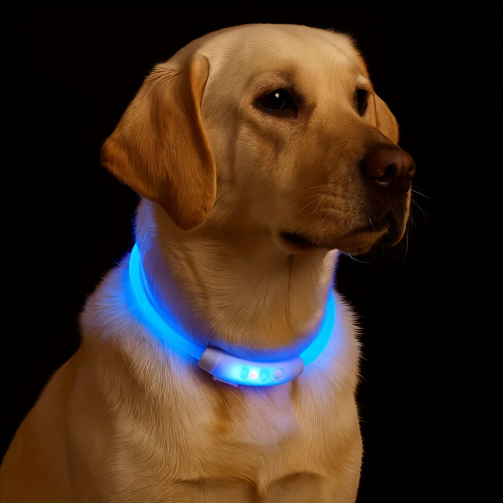 New LED Dog Collar USB Rechargeable，3 Mode Adjustable, Safe Reflective Pet Collar